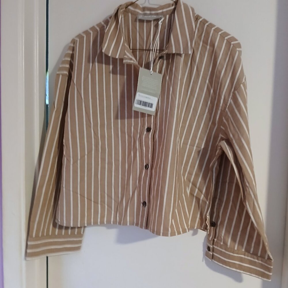 Everlane Women's Cropped Button Down Shirt Brown With White  Stripes